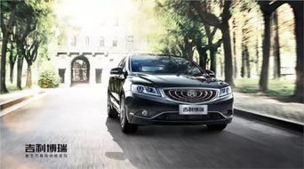 博瑞 老帶新 友聚會活動火熱進(jìn)行中