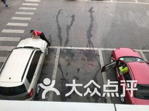 北京中華民族園南門停車場(chǎng) 北京中華民族園南門停車場(chǎng)愛車